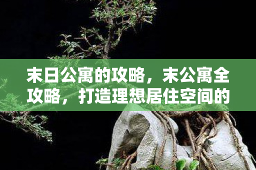 末日公寓的攻略，末公寓全攻略，打造理想居住空间的秘密武器