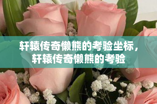 轩辕传奇懒熊的考验坐标，轩辕传奇懒熊的考验