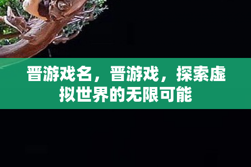 晋游戏名，晋游戏，探索虚拟世界的无限可能
