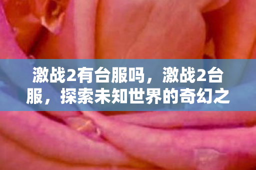 激战2有台服吗，激战2台服，探索未知世界的奇幻之旅