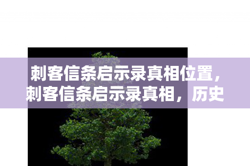 刺客信条启示录真相位置，刺客信条启示录真相，历史与虚构的交织