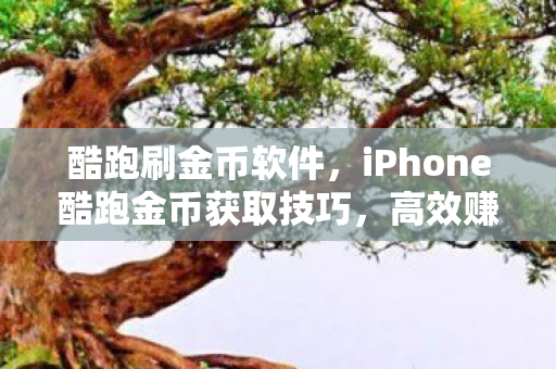 酷跑刷金币软件，iPhone酷跑金币获取技巧，高效赚取金币，提升游戏体验