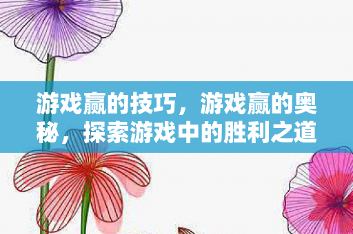 游戏赢的技巧，游戏赢的奥秘，探索游戏中的胜利之道