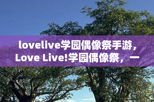 lovelive学园偶像祭手游，Love Live!学园偶像祭，一场虚拟与现实交织的音乐盛宴