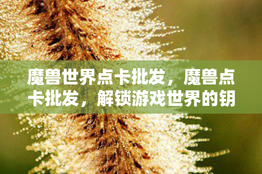 魔兽世界点卡批发，魔兽点卡批发，解锁游戏世界的钥匙