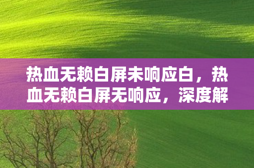 热血无赖白屏未响应白，热血无赖白屏无响应，深度解析与解决方案