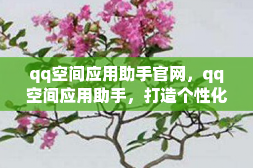 qq空间应用助手官网，qq空间应用助手，打造个性化空间的得力助手