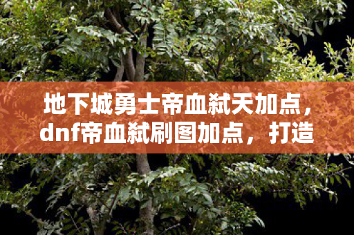 地下城勇士帝血弑天加点，dnf帝血弑刷图加点，打造高效战斗体验