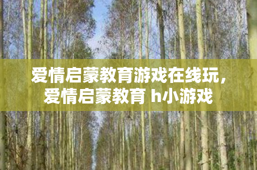 爱情启蒙教育游戏在线玩，爱情启蒙教育 h小游戏