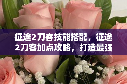 征途2刀客技能搭配，征途2刀客加点攻略，打造最强刀客，征战四方！