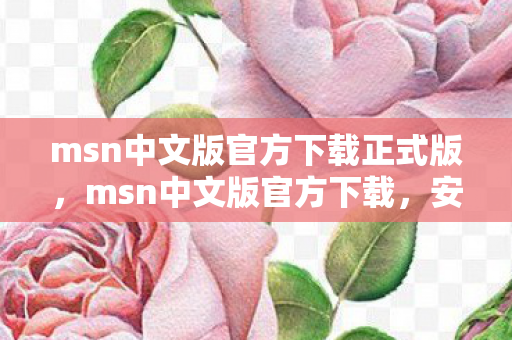 msn中文版官方下载正式版，msn中文版官方下载，安全、便捷、高效