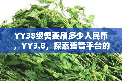 YY38级需要刷多少人民币，YY3.8，探索语音平台的无限可能