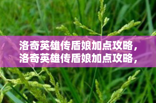 洛奇英雄传盾娘加点攻略，洛奇英雄传盾娘加点攻略，打造坚不可摧的防御核心