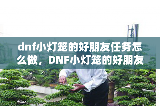 dnf小灯笼的好朋友任务怎么做，DNF小灯笼的好朋友，探索游戏内外的温馨互动
