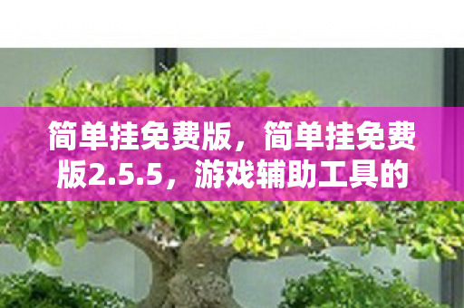 简单挂免费版，简单挂免费版2.5.5，游戏辅助工具的新选择