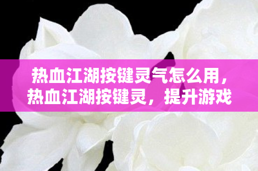 热血江湖按键灵气怎么用，热血江湖按键灵，提升游戏效率，打造个性化操作体验