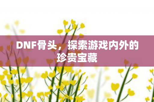 DNF骨头，探索游戏内外的珍贵宝藏