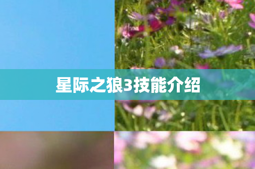 星际之狼3技能介绍 星际之狼3技能介绍