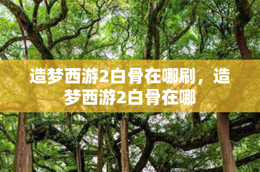 造梦西游2白骨在哪刷，造梦西游2白骨在哪