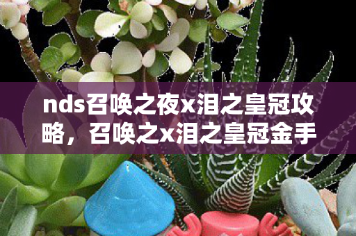 nds召唤之夜x泪之皇冠攻略，召唤之x泪之皇冠金手指，解锁游戏新境界的神奇钥匙