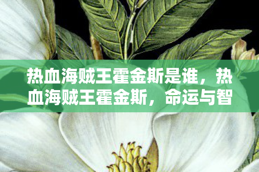 热血海贼王霍金斯是谁，热血海贼王霍金斯，命运与智慧的交织