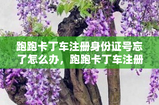 跑跑卡丁车注册身份证号忘了怎么办，跑跑卡丁车注册全解析，从新手到高手的注册指南