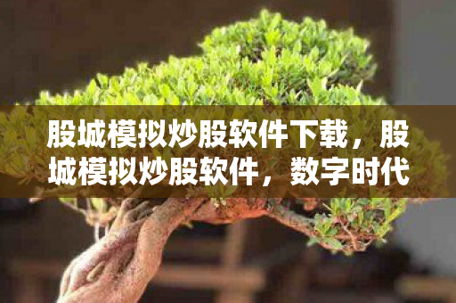 股城模拟炒股软件下载，股城模拟炒股软件，数字时代下的投资新选择