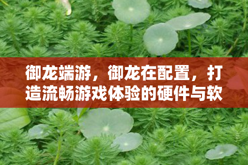 御龙端游，御龙在配置，打造流畅游戏体验的硬件与软件需求
