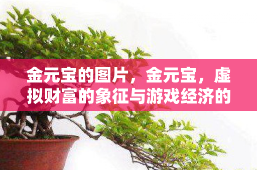 金元宝的图片，金元宝，虚拟财富的象征与游戏经济的探索
