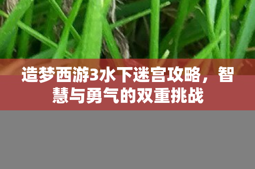 造梦西游3水下迷宫攻略，智慧与勇气的双重挑战