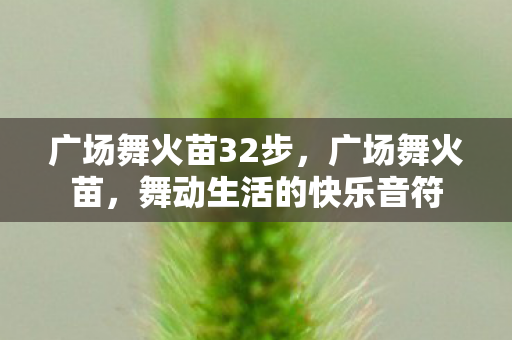 广场舞火苗32步，广场舞火苗，舞动生活的快乐音符