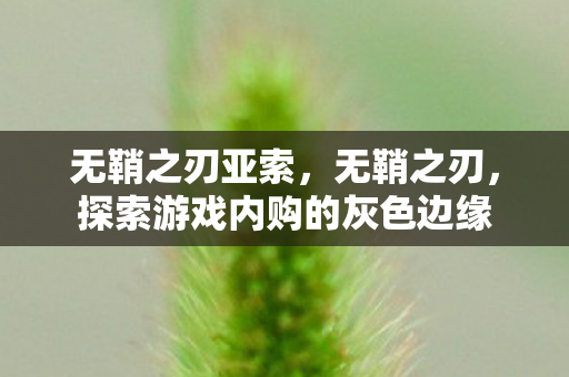 无鞘之刃亚索，无鞘之刃，探索游戏内购的灰色边缘