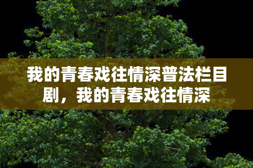 我的青春戏往情深普法栏目剧，我的青春戏往情深