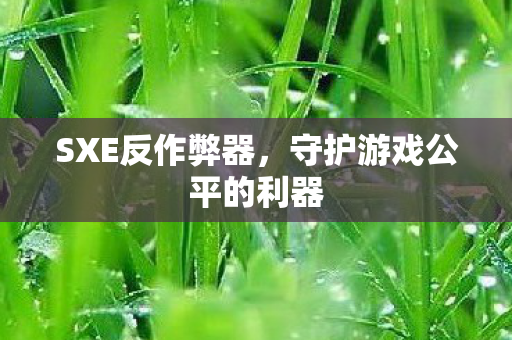SXE反作弊器，守护游戏公平的利器