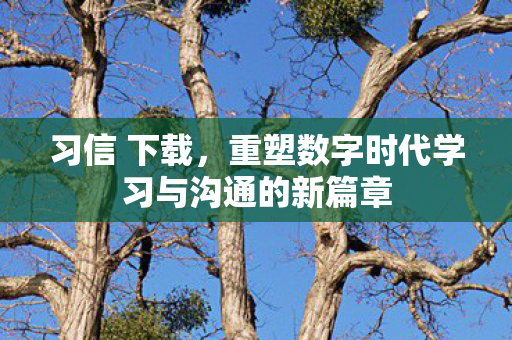习信 下载，重塑数字时代学习与沟通的新篇章
