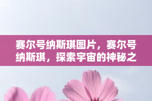 赛尔号纳斯琪图片，赛尔号纳斯琪，探索宇宙的神秘之旅