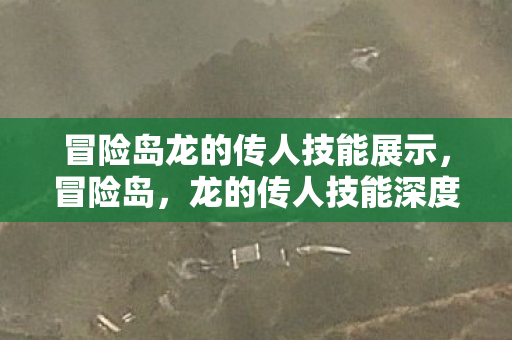 冒险岛龙的传人技能展示，冒险岛，龙的传人技能深度解析