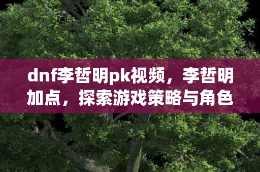 dnf李哲明pk视频，李哲明加点，探索游戏策略与角色发展的深度解析