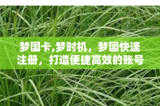梦国卡,梦时机，梦国快速注册，打造便捷高效的账号注册体验
