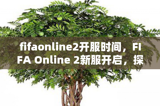 fifaonline2开服时间，FIFA Online 2新服开启，探索全新足球世界的无限可能