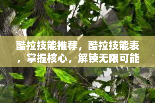 酷拉技能推荐，酷拉技能表，掌握核心，解锁无限可能