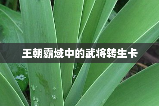王朝霸域中的武将转生卡