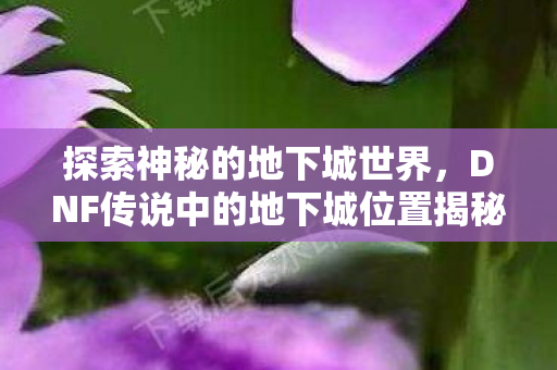 探索神秘的地下城世界，DNF传说中的地下城位置揭秘