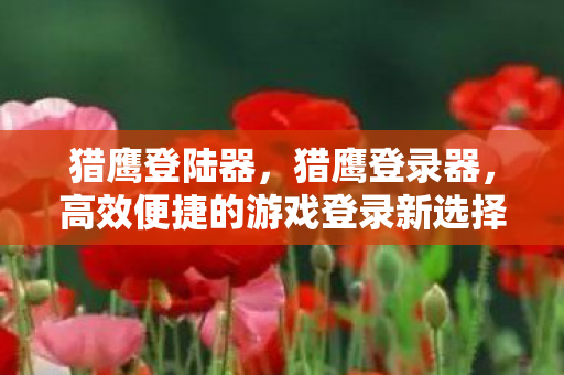 猎鹰登陆器，猎鹰登录器，高效便捷的游戏登录新选择