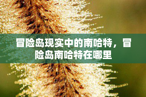 冒险岛现实中的南哈特，冒险岛南哈特在哪里