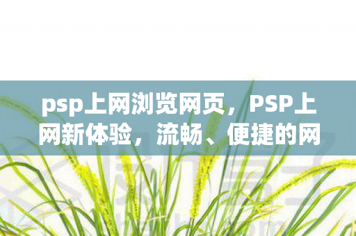 psp上网浏览网页，PSP上网新体验，流畅、便捷的网络冲浪之旅