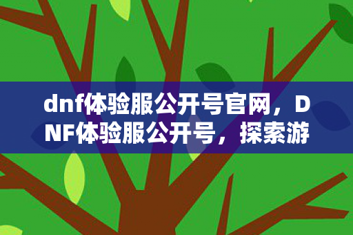dnf体验服公开号官网，DNF体验服公开号，探索游戏前沿，尽享独特体验