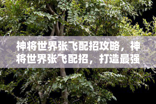 神将世界张飞配招攻略，神将世界张飞配招，打造最强战力的策略指南