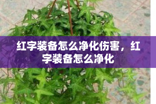 红字装备怎么净化伤害，红字装备怎么净化