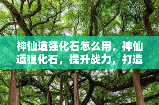 神仙道强化石怎么用，神仙道强化石，提升战力，打造无敌角色